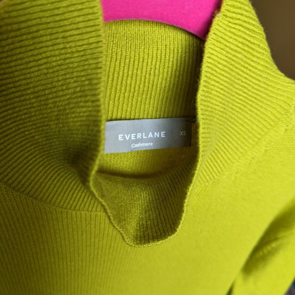 Everlane Cashmere Square Turtleneck